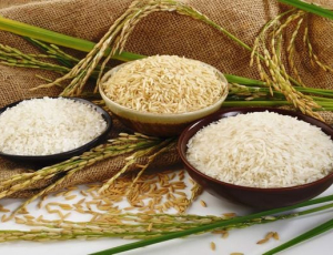 GẠO LÂM PHI HÙNG – HÀNH TRÌNH KIẾN TẠO GIÁ TRỊ TỪ HẠT GẠO VIỆT