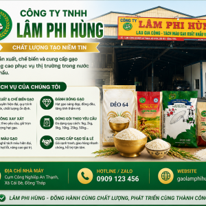 Dịch Vụ Tại Nhà Máy Sản Xuất Gạo Lâm Phi Hùng – Giải Pháp Toàn Diện Cho Ngành Lúa Gạo Việt Nam