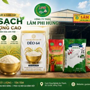 Khám Phá Các Dòng Gạo Chất Lượng Cao Tại Nhà Máy Sản Xuất Gạo Lâm Phi Hùng