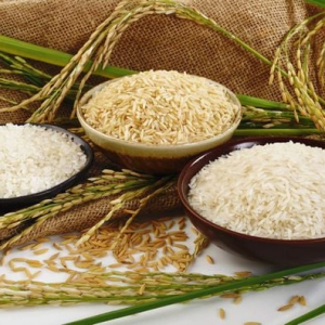 GẠO LÂM PHI HÙNG – HÀNH TRÌNH KIẾN TẠO GIÁ TRỊ TỪ HẠT GẠO VIỆT